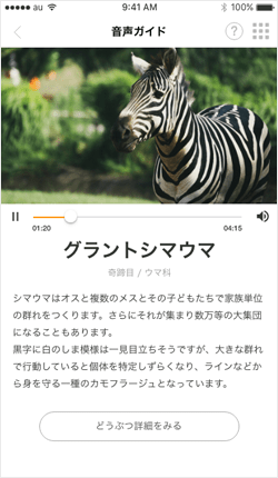 one zoo 音声ガイド